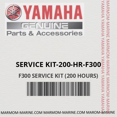 service kit-200-hr-f300 F300 SERVICE KIT (200 HOURS)